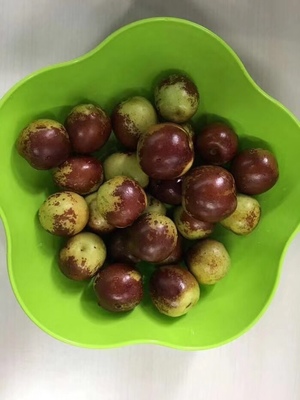 哪里的冬棗最好?山東沾化、河北黃驊、陜西大荔,還是山西、新疆江西或其他地方?